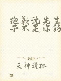 抱歉沈先生,孩子不是你的完整短剧