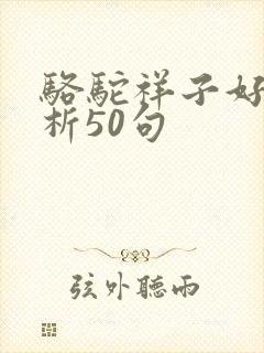 骆驼祥子好句赏析50句
