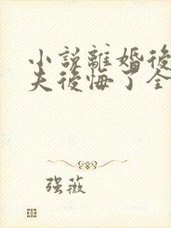 小说离婚后,前夫后悔了全文免费阅读