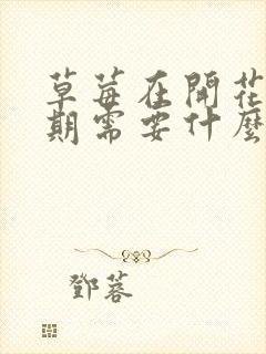 草莓在开花结果期需要什么肥