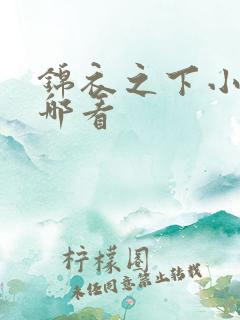 锦衣之下小说在哪看