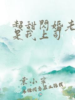 超甜闪婚老公竟是我上司