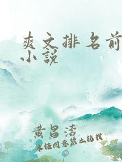 爽文排名前十的小说
