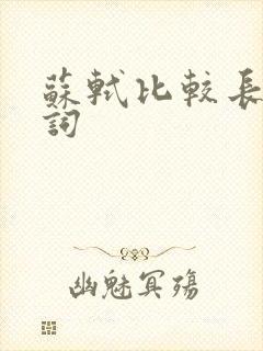 苏轼比较长的诗词