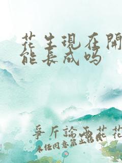 花生现在开花还能长成吗
