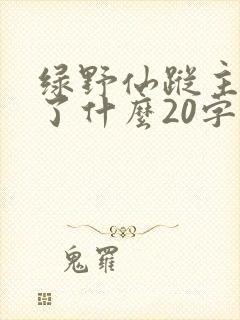 绿野仙踪主要讲了什么20字