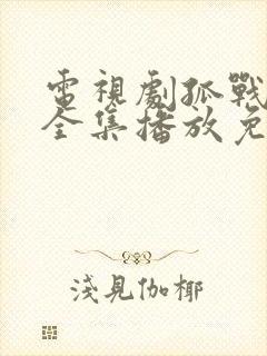 电视剧孤战迷城全集播放免费观看