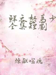 鲜衣怒马少年郎全集短剧