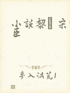 小说黎� 宋轻臣