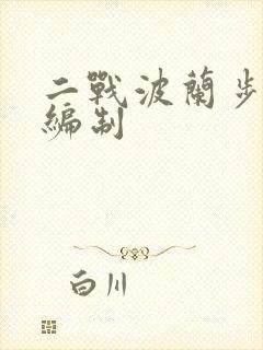 二战波兰步兵师编制