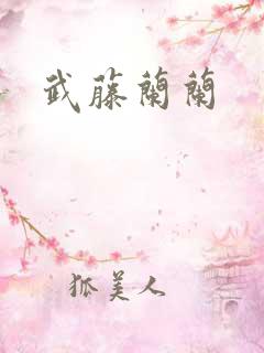 武藤兰兰