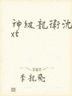 神级龙卫沈浪txt
