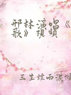 邢林演唱《好汉歌》视频
