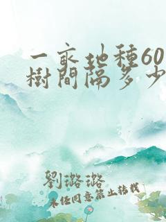 一亩地种60棵树间隔多少
