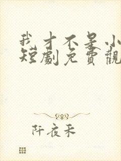我才不是小可怜短剧免费观看全集 我才不是小可怜短剧免费观看全集