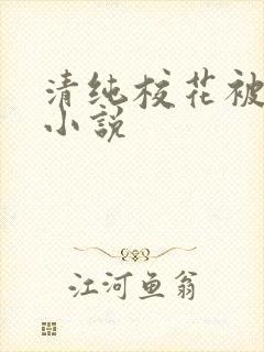 清纯校花被玩弄小说