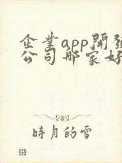 企业app开发公司哪家好