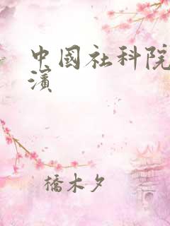 中国社科院 胡滨