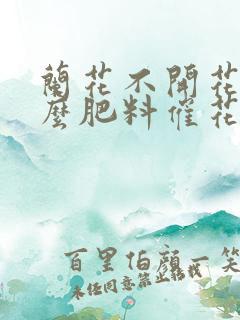 兰花不开花用什么肥料催花