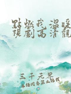 点燃我温暖你电视剧高清观看