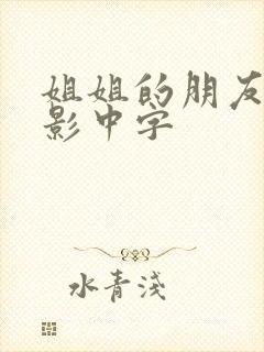 姐姐的朋友3电影中字
