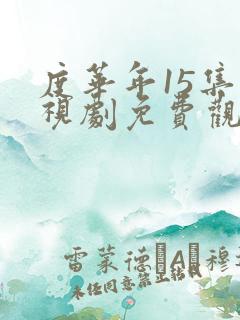 度华年15集电视剧免费观看完整版