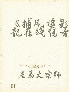 《捕风追影》成龙在线观看