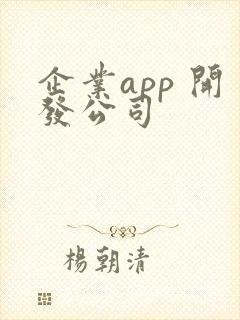 企业app 开发公司