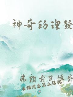 神奇的理发沙龙