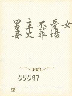 男主不爱女主追妻火葬场
