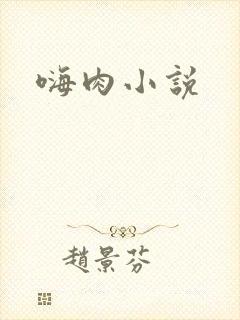 嗨肉小说