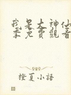 我是大神仙第一季免费观看完整版