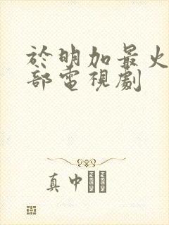 于明加最火的三部电视剧
