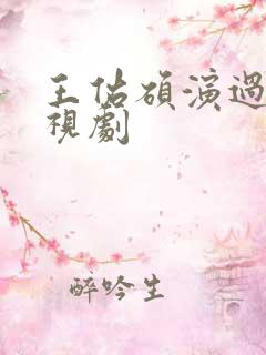 王佑硕演过的电视剧