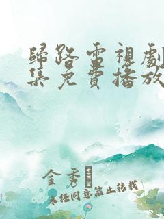 归路电视剧30集免费播放新生