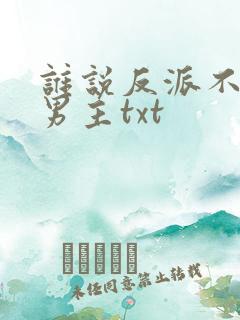 谁说反派不能当男主txt