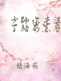 少帅你老婆又跑了结局怎么样