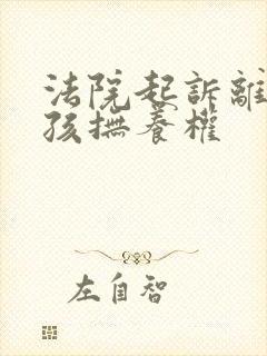 法院起诉离婚小孩抚养权
