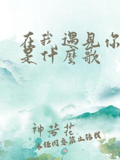 在我遇见你以前是什么歌