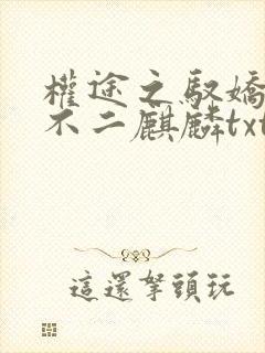 权途之驭娇有术不二麒麟txt无删减