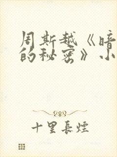 周斯越《暗格里的秘密》小说