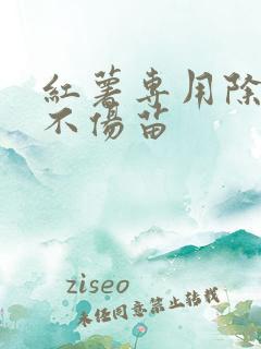 红薯专用除草剂不伤苗