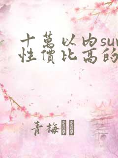 十万以内suv性价比高的车 十万以内suv性价比高的车