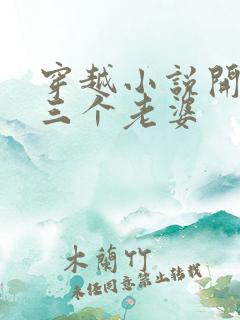 穿越小说开局选三个老婆