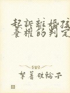 起诉离婚孩子抚养权的判定标准