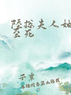 陆总夫人她罪不至死