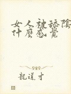 女人被舔阴部是什么感觉