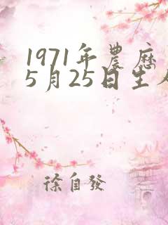 1971年农历5月25日生人八字如何?