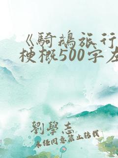 《骑鹅旅行记》梗概500字左右六年级