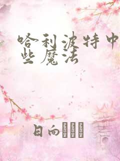 哈利波特中有哪些魔法